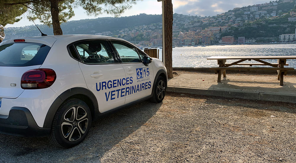 Urgence VETERINAIRE de GARDE Marseille (Bouches-du-Rhone) Urgence VETERINAIRE de GARDE Marseille (Bouches-du-Rhone)