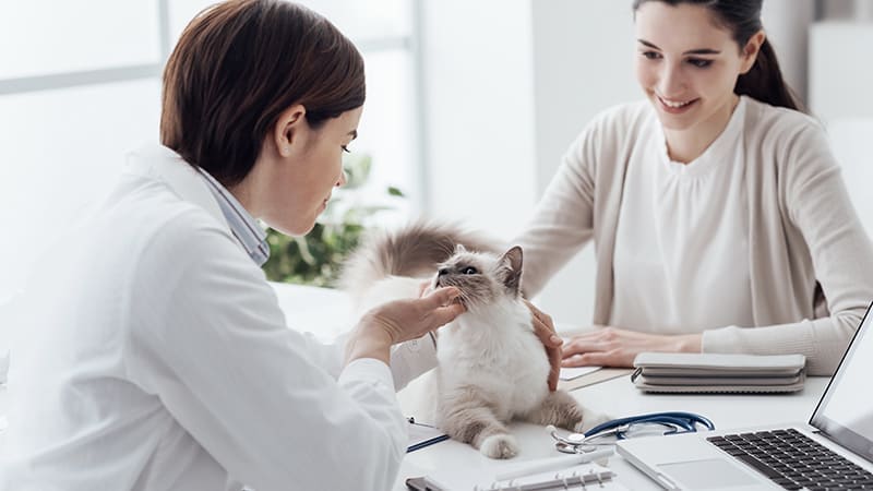 VETERINAIRE de Garde Marseille