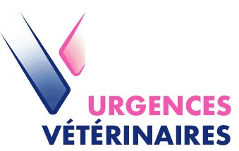 Urgence Vétérinaire Marseille 24h/24