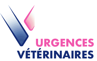 VETERINAIRE de GARDE Marseille (Bouches-du-Rhône) - Service Vétérinaire de Garde