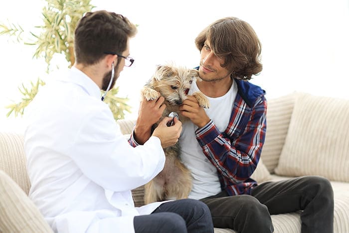 Urgence VETERINAIRE de GARDE Marseille (Bouches-du-Rhone)